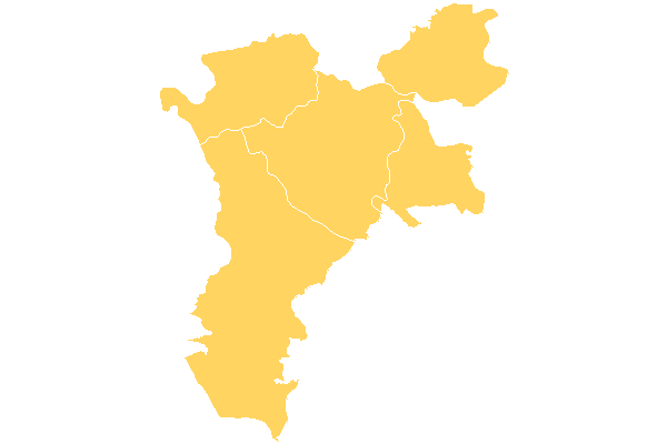 Cantón Paján